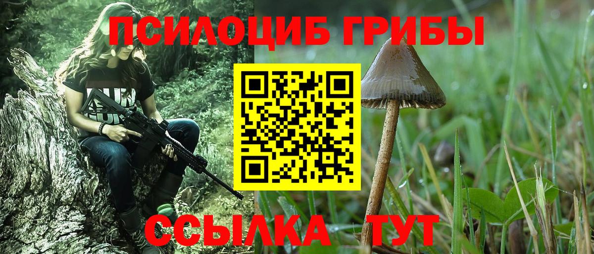 Нарткала  Псилоцибиновые грибы Psilocybe  Вход с VPN 